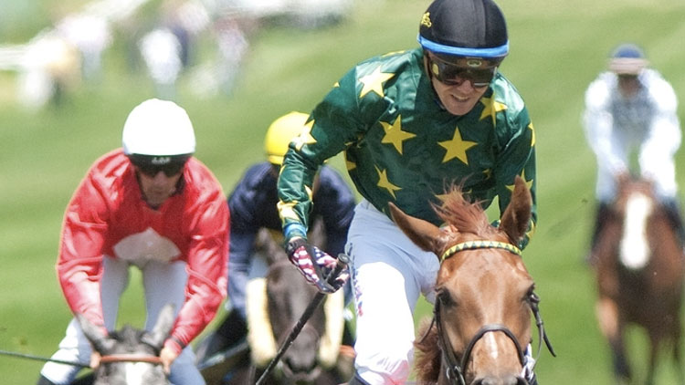 Carreras en el Hipódromo de la Zarzuela: Temporada 2023