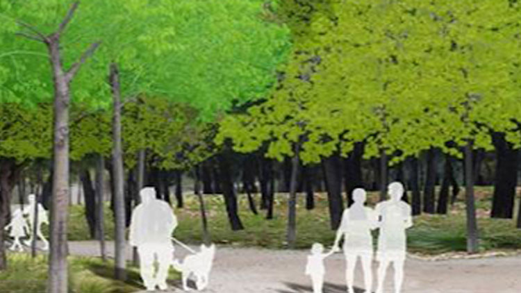 Bosque metropolitano, una oportunidad sostenible e innovadora