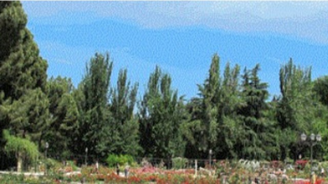 Visita Rosaleda del Parque del Oeste