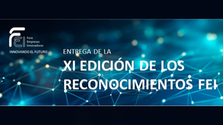 XI edición de los Reconocimientos FEI a la innovación